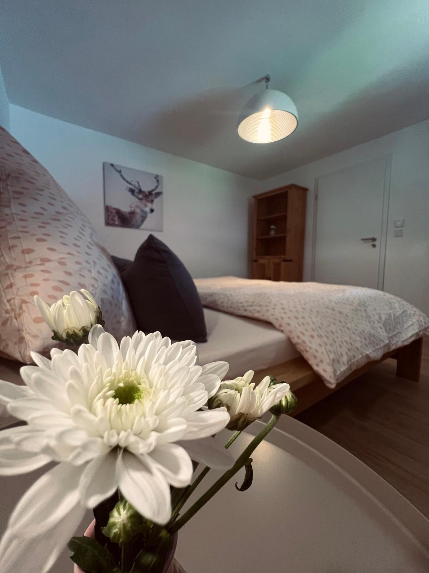 Ferienwohnung Leonie โอเบอร์เอา ภายนอก รูปภาพ